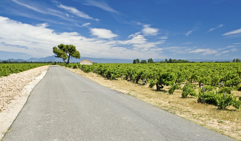 Chateauneuf-du-Pape