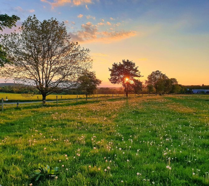 Westerwald