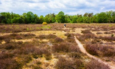 Manderveld tubbergen wandelvakantie