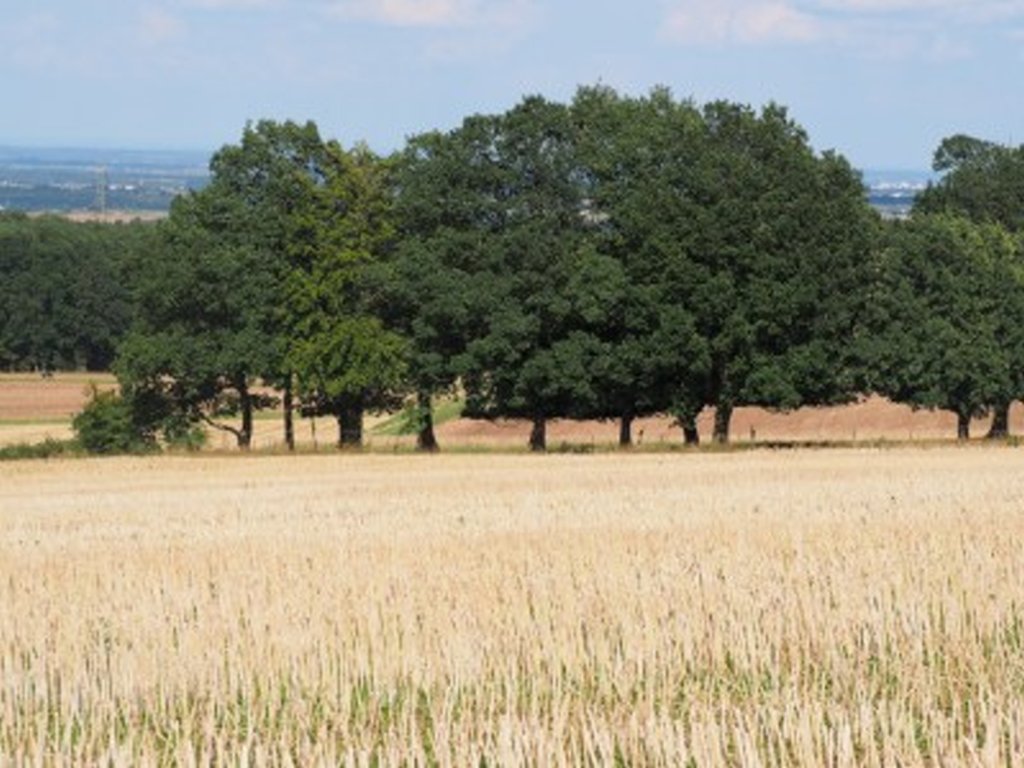 Actieve vakantie Eifel