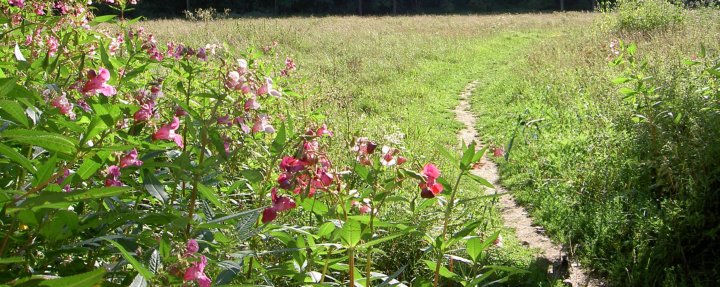 Wandelen Limburg