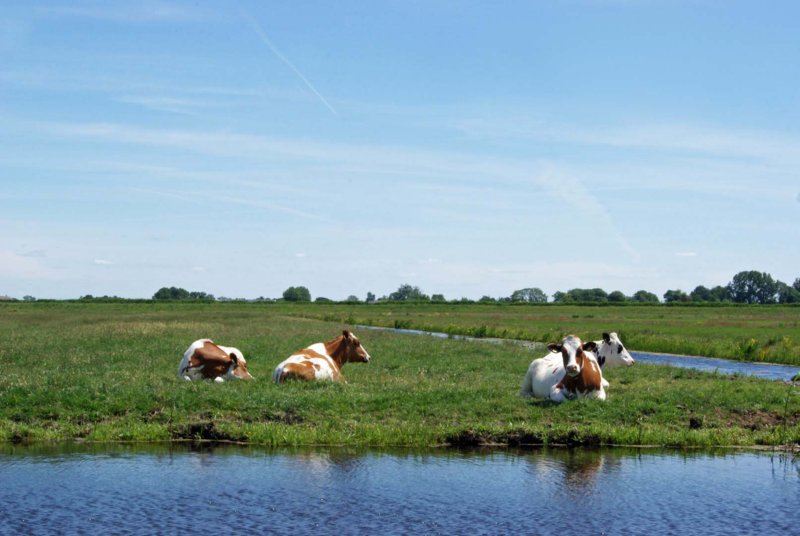 Woerden vakantie op de fiets