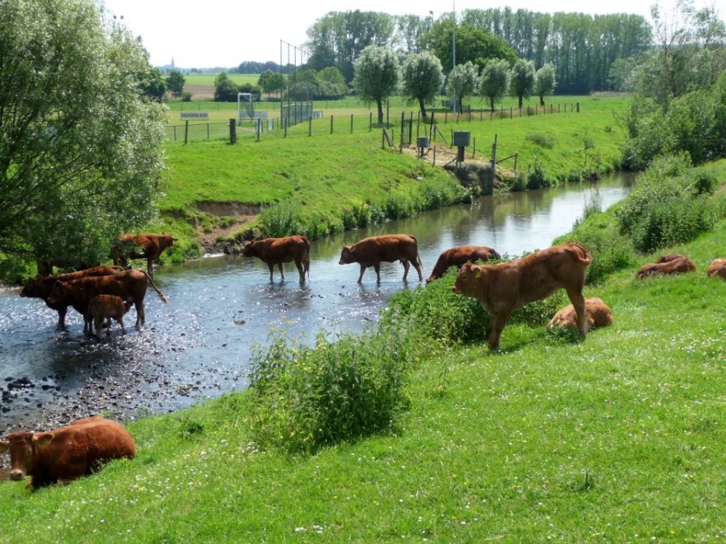 Wandelvakantie in het Geuldal