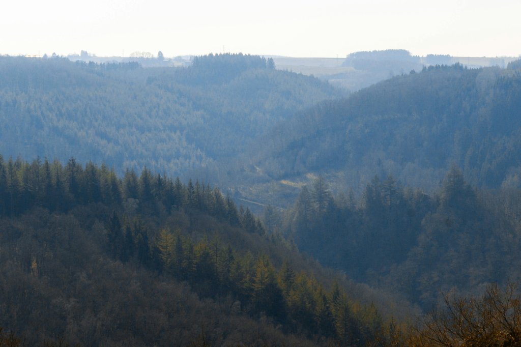 De Ardennen