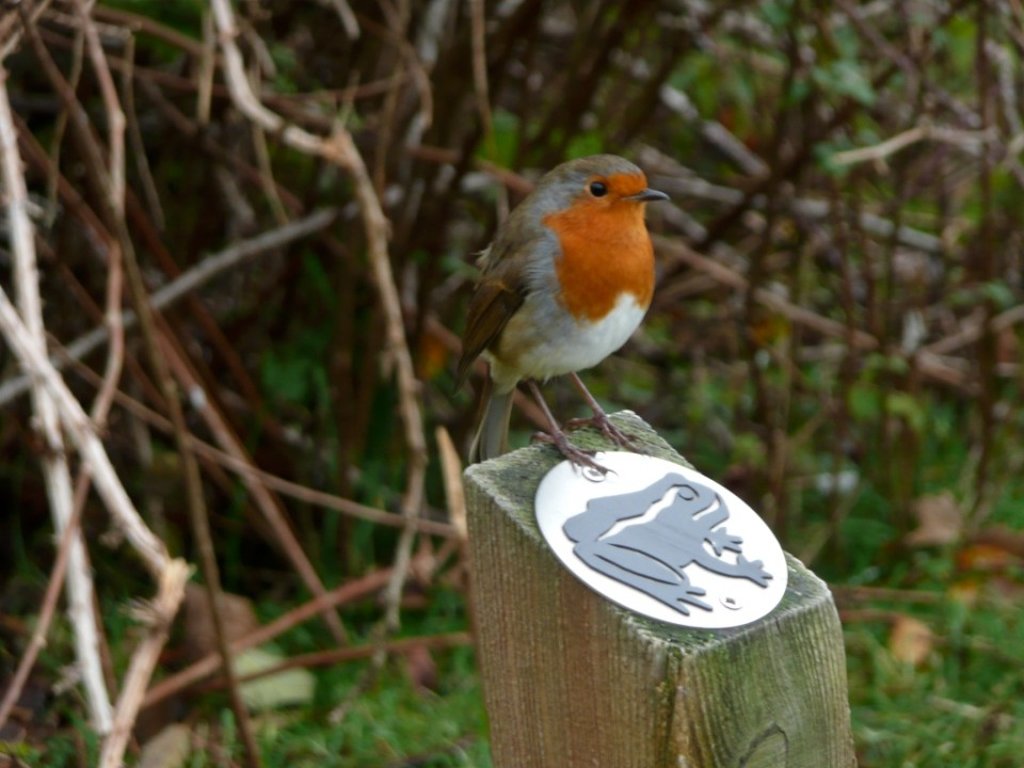 Wandelvakantie Lake District