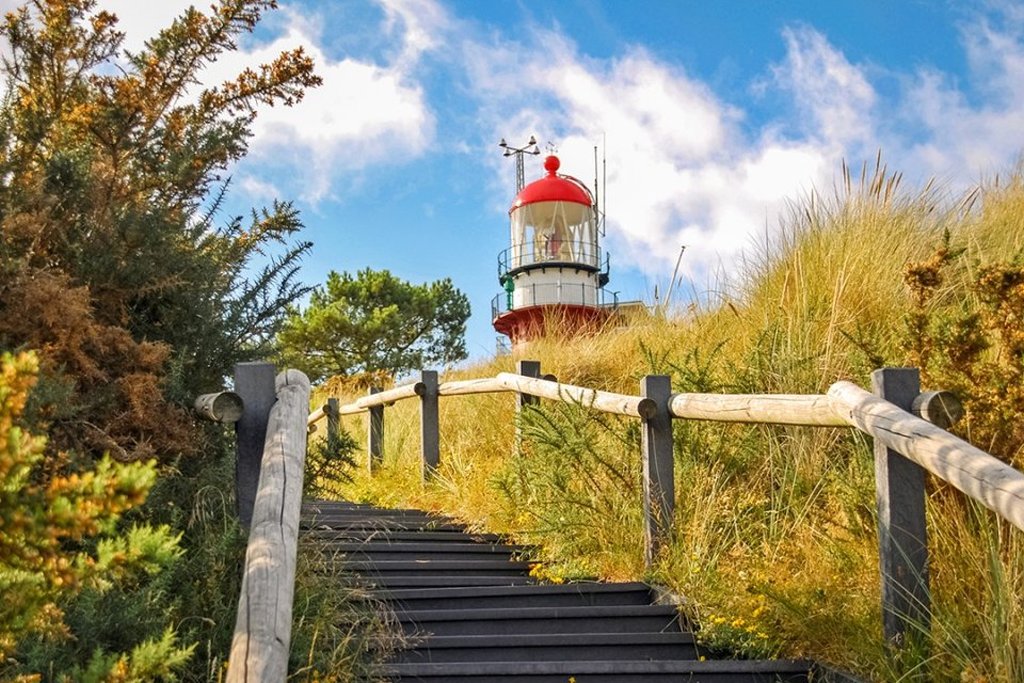 Fietsvakantie de waddeneilanden