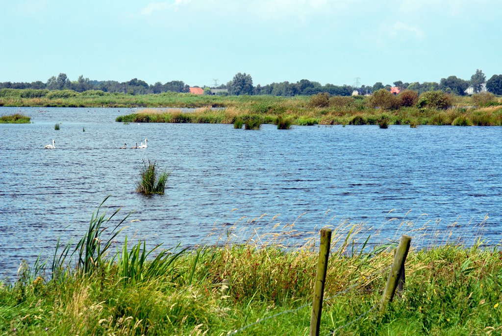 Tjeukermeer