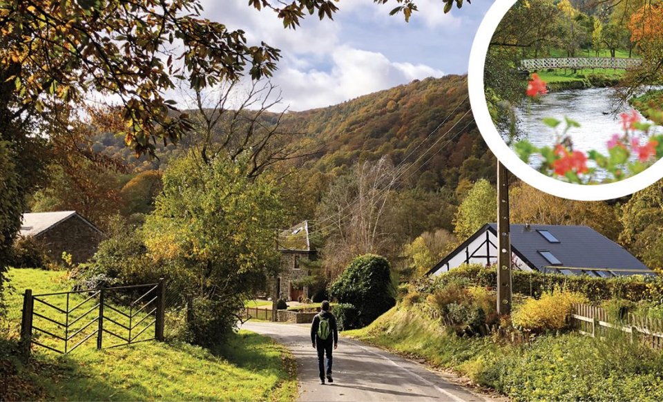 De Belgische Ardennen