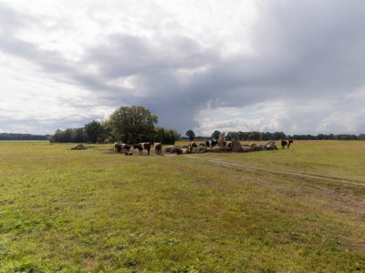 Baloerveld pieterpad wandelvakantie