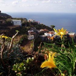 wandelvakantie Canarische Eilanden