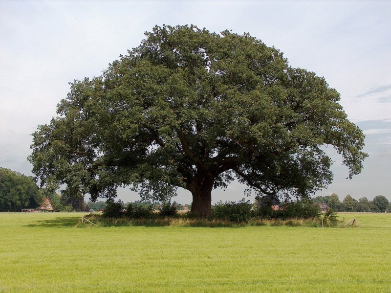 Vorden wandelvankantie pieterpad