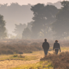 Wandelen door de mooiste natuurgebieden