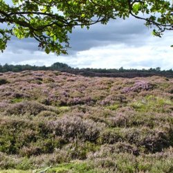 Fietsarrangementen Drenthe