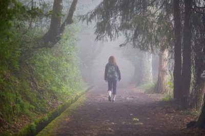 Ribeiro Frio Madeira wandelen