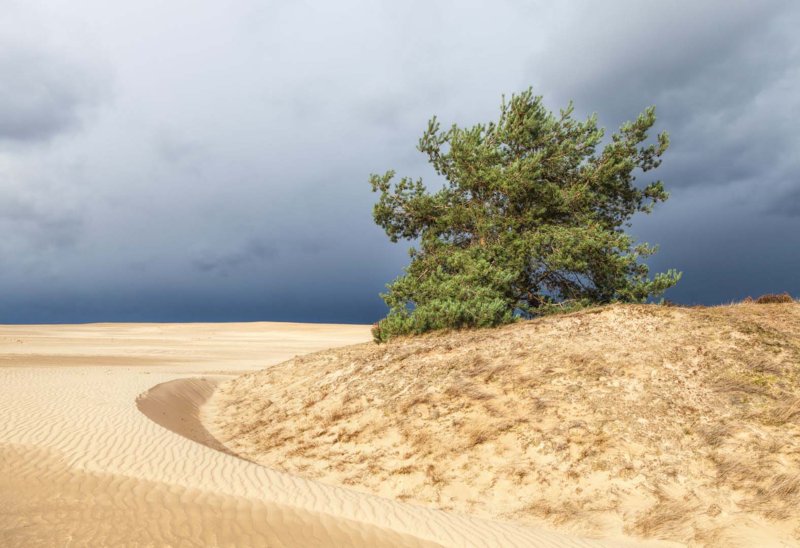 Hoge Veluwe