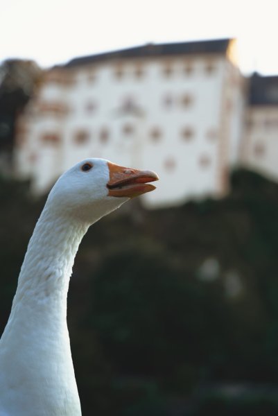 Weilburg - kasteel