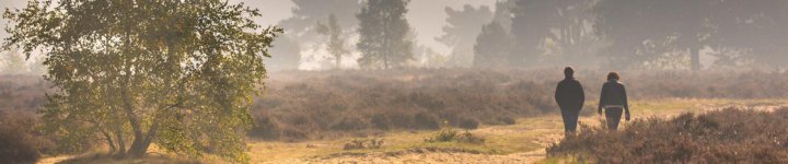 Wandelen door de mooiste natuurgebieden