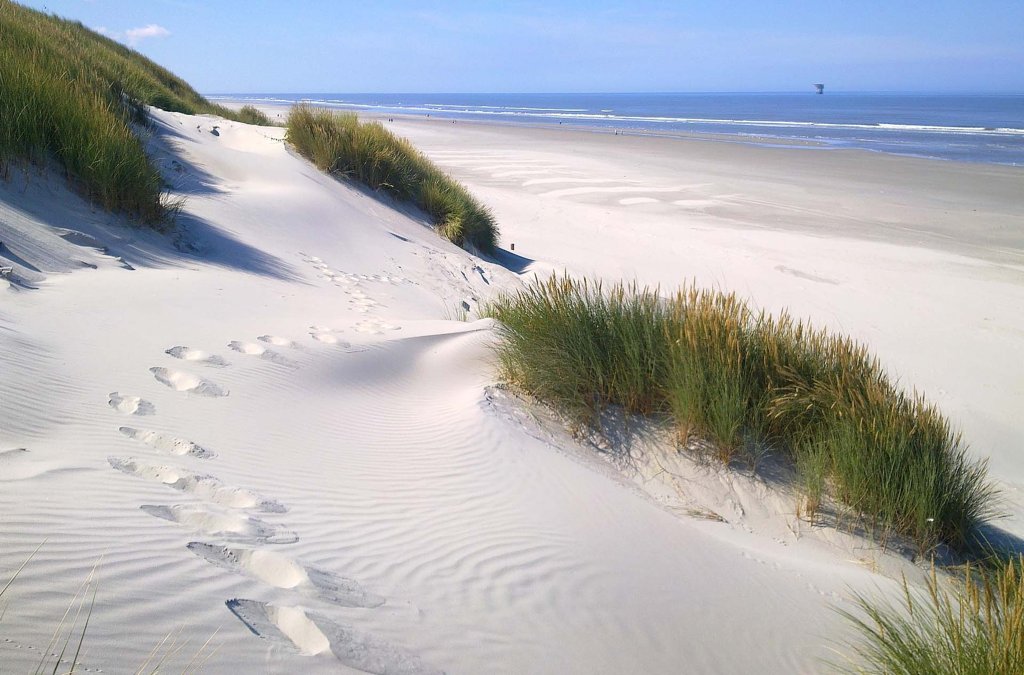 Terschelling