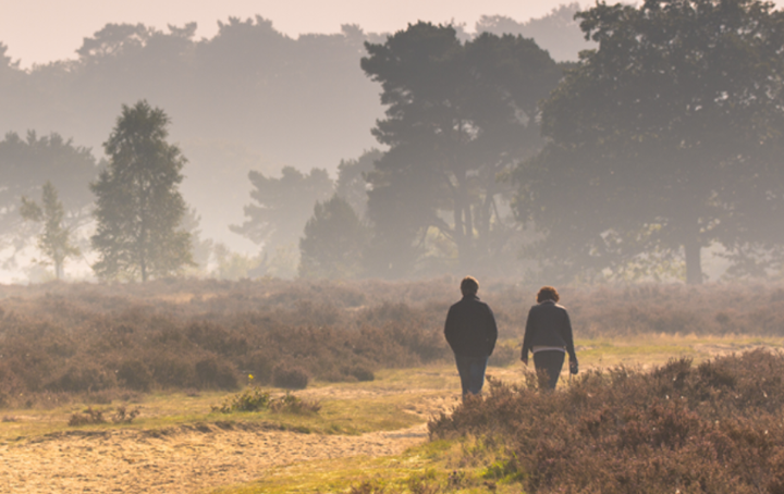 Wandelen door de mooiste natuurgebieden