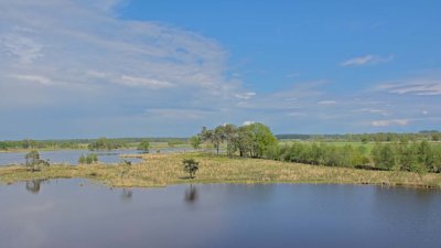 Turnhoutse Heide Bladel fietsvakantie