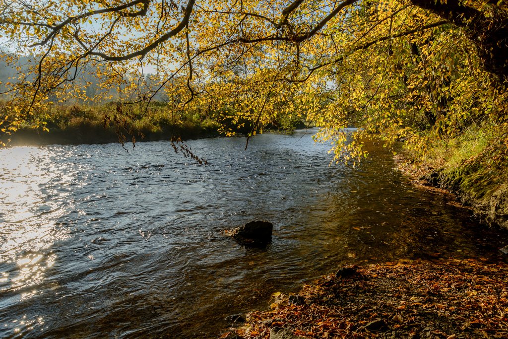 langs de oevers van de Ourthe