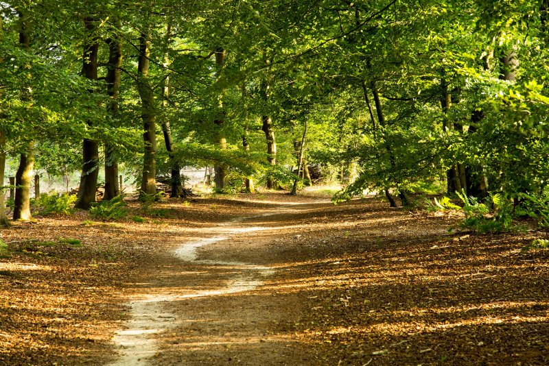 Springendal wandelvakantie tubbergen