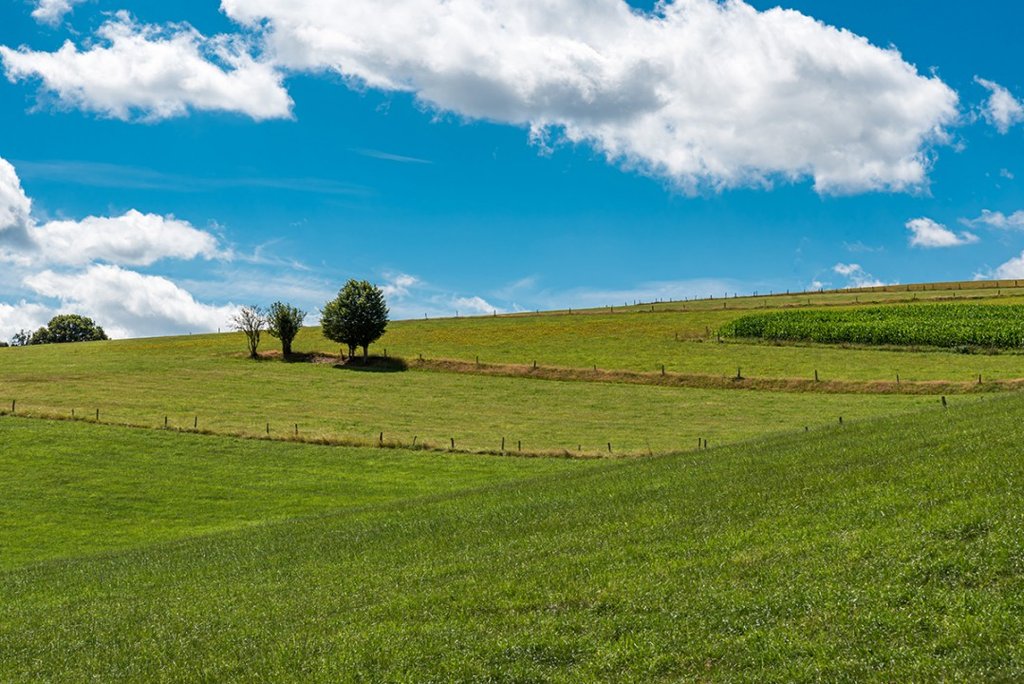 fietsvakantie ardennen