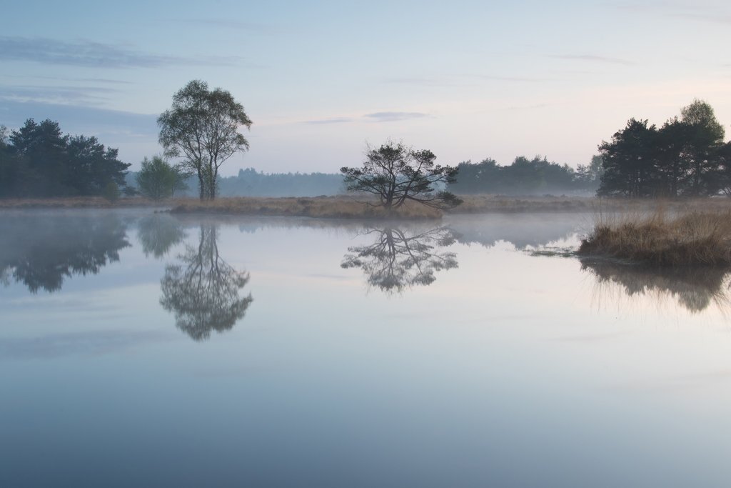 Buurse Zand