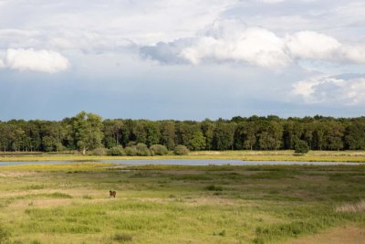 Weerterbos Weert