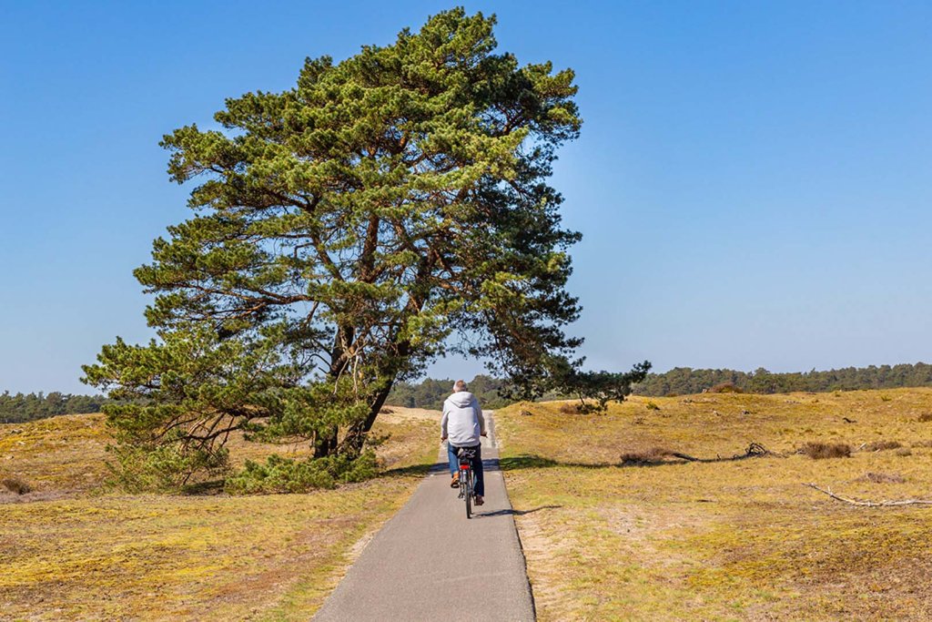 Fietsarrangement op de Veluwe