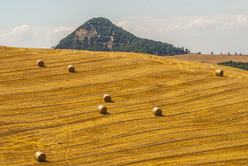 Monte Voltraio