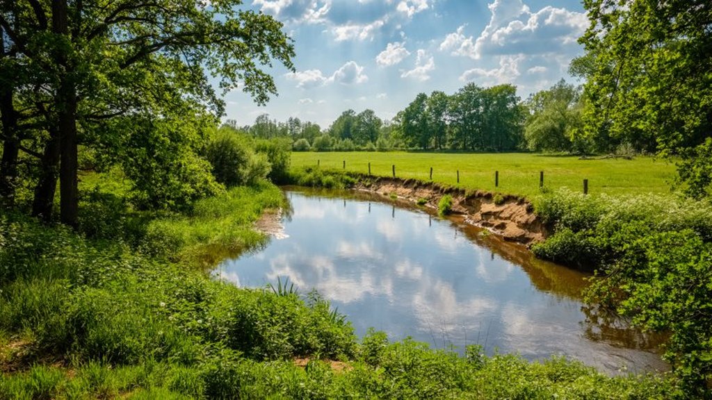 Fietsvakantie de lutte