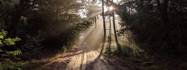 Mooiste wandelroutes van Nederland