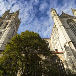 baafskathedraal vlaanderen culinair