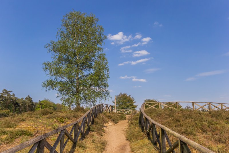 Lemelerberg pieterpad wandelvakantie