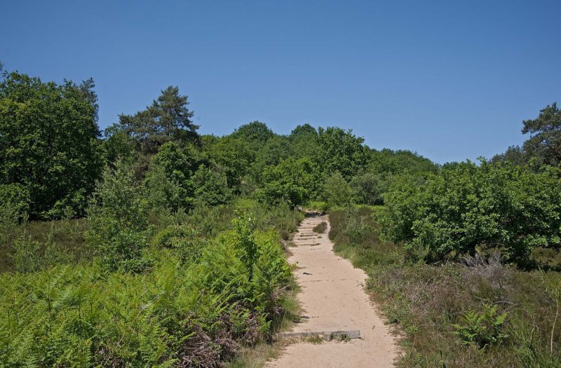 Hoge Kempen fietsvakantie