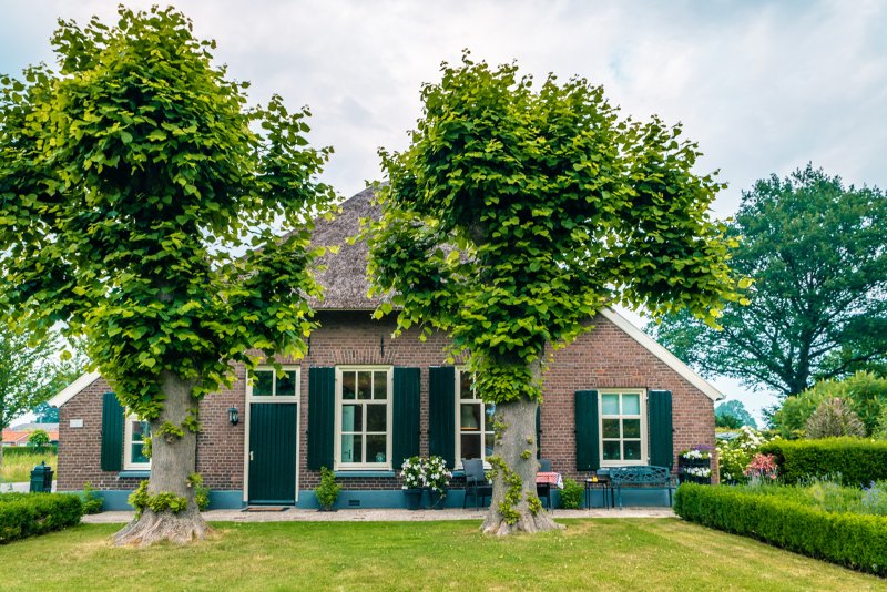 Holten pieterpad wandelvakantie