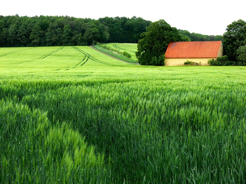 Bij Osnabruck