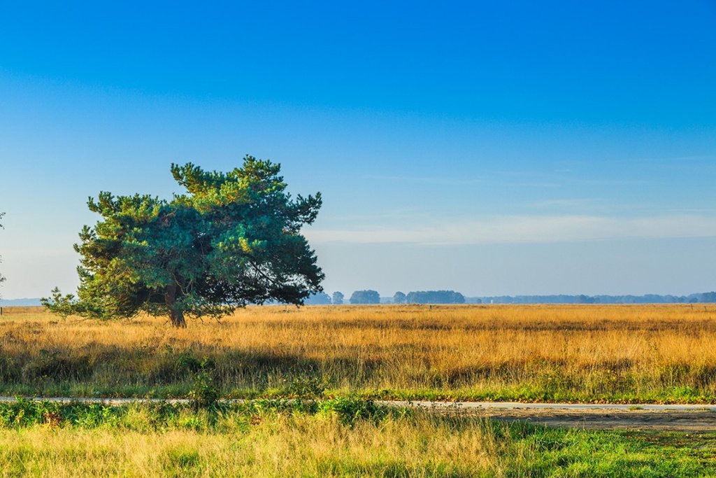 fietsarrangementen in Drenthe