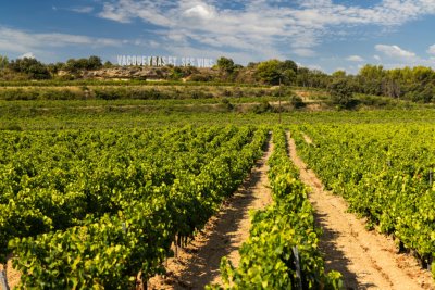 Provence fietsvakantie Vacqueras