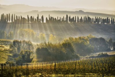 Montalcino