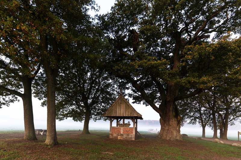 Kroezeboom fietsvakantie Twente