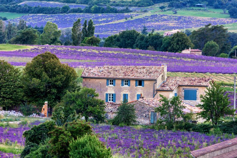 Sault provence fietsvakantie