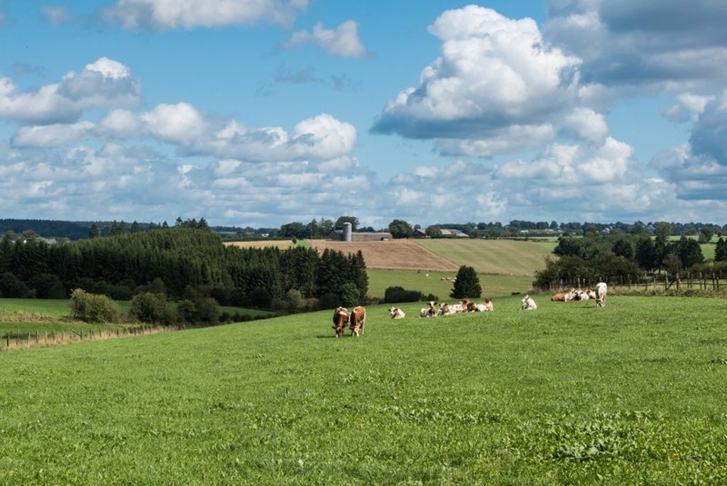 Fietsvakantie Ardennen