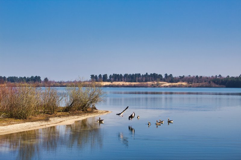 Wandelvakantie Maasduinen pieterpad