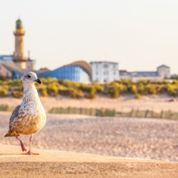 Uitzicht oostzee fietsvakantie