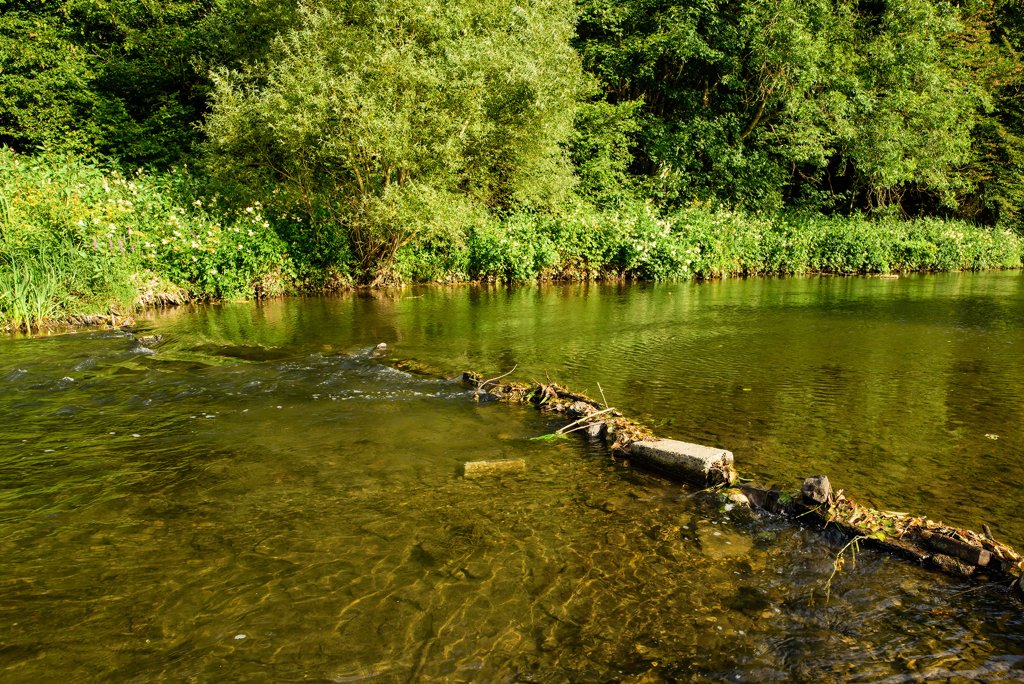 Heiderscheidergrund