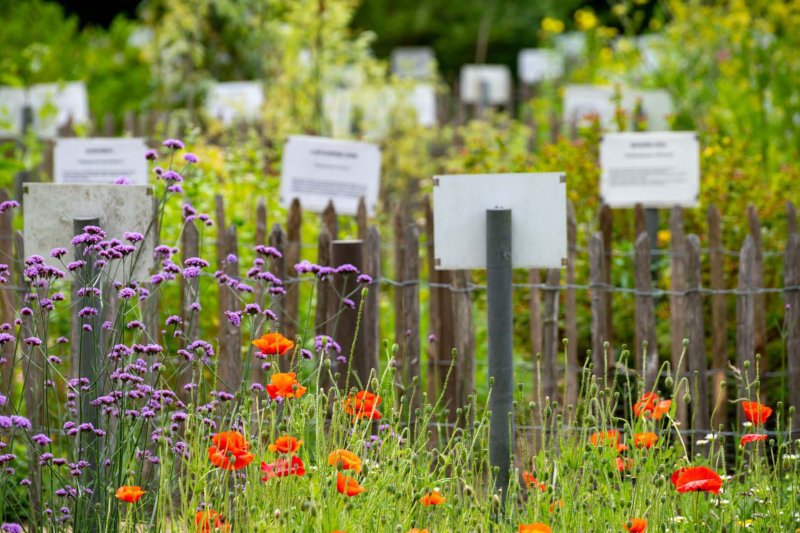 Kloostertuin abdij postel