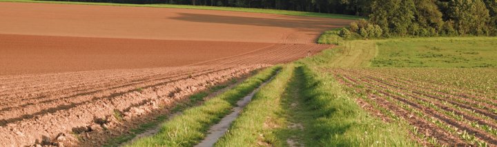 Wandeltochten Zuid-Limburg