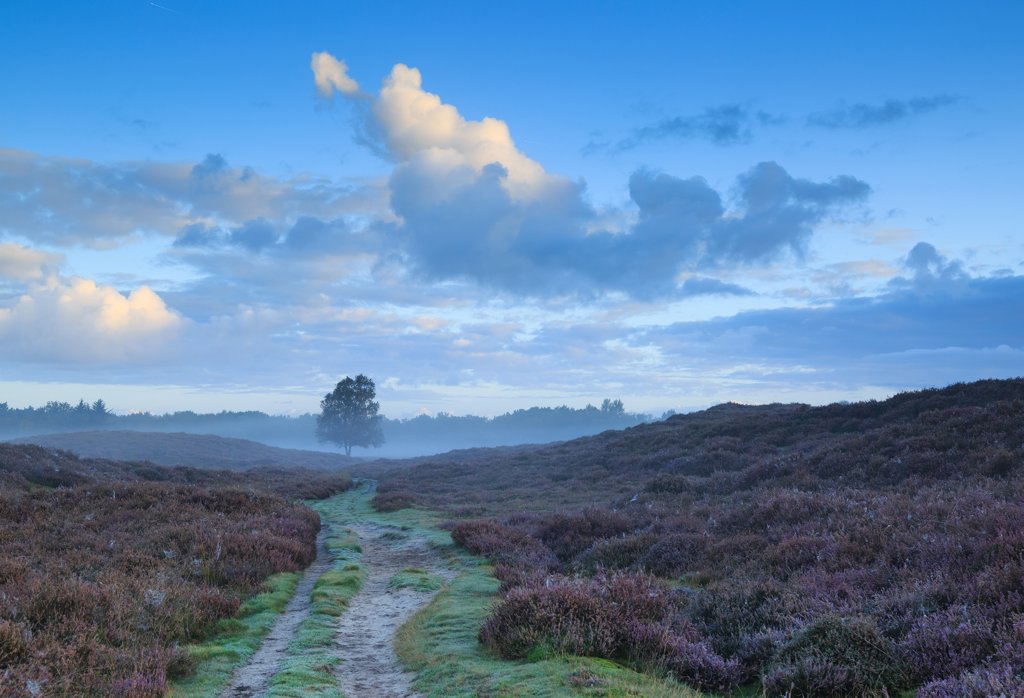 pietpad groningen drenthe wandelvakantie